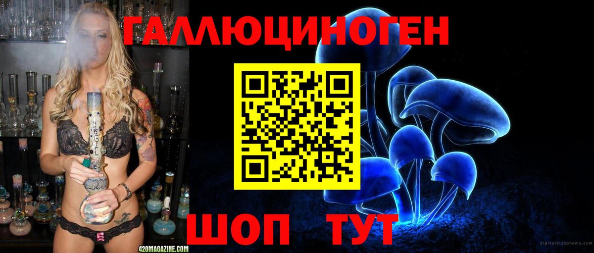 Корсаков  Галлюциногенные грибы GOLDEN TEACHER  Вход с VPN 